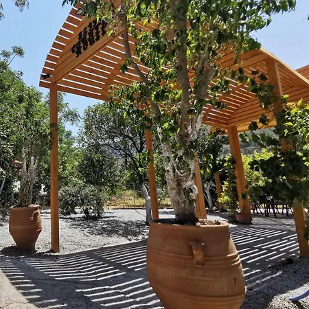 Elite * Ялиссос